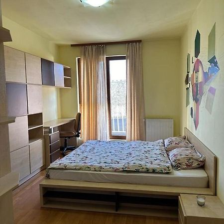Central Apartment No1 Temesvár Kültér fotó