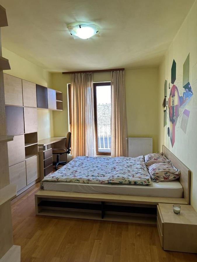 Central Apartment No1 Temesvár Kültér fotó