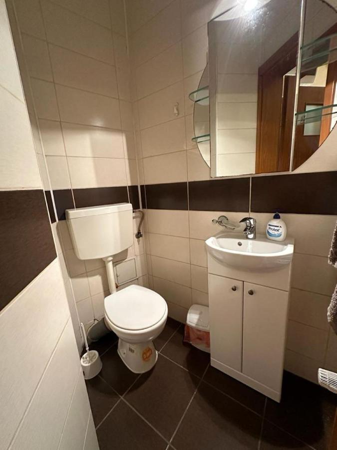 Central Apartment No1 Temesvár Kültér fotó