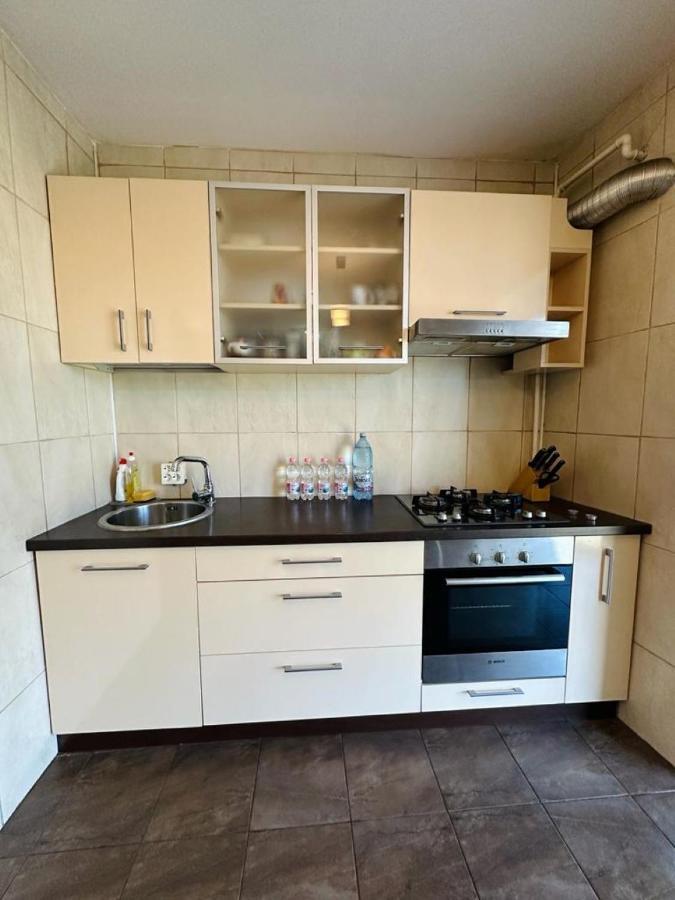 Central Apartment No1 Temesvár Kültér fotó