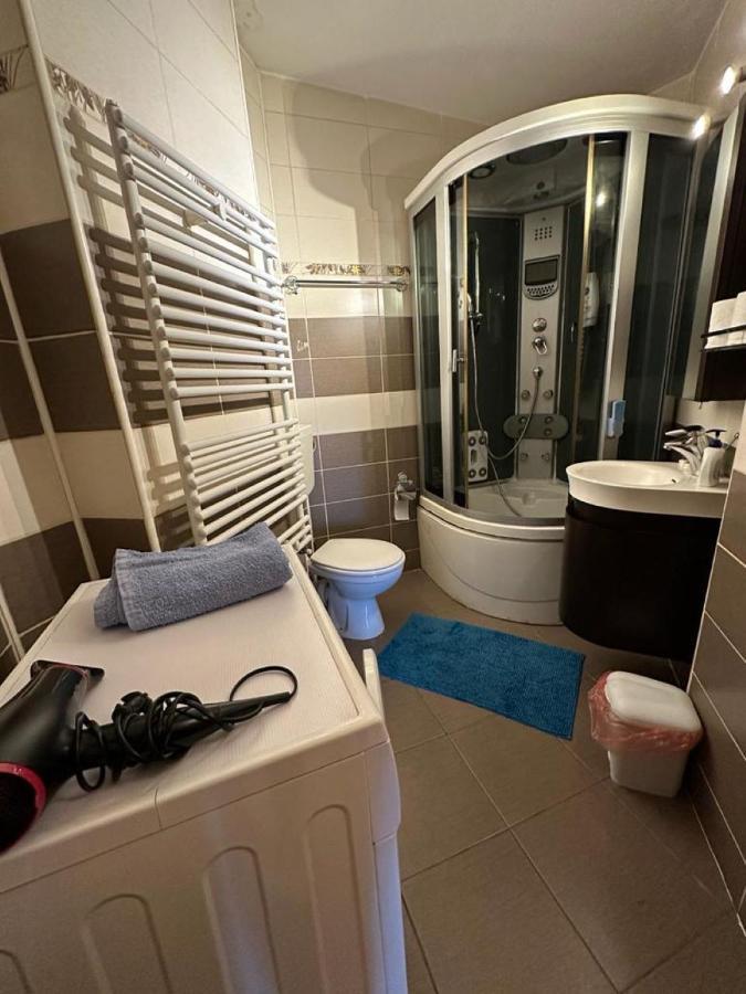 Central Apartment No1 Temesvár Kültér fotó